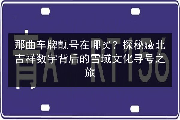 那曲车牌靓号在哪买？探秘藏北吉祥数字背后的雪域文化寻号之旅 第2张