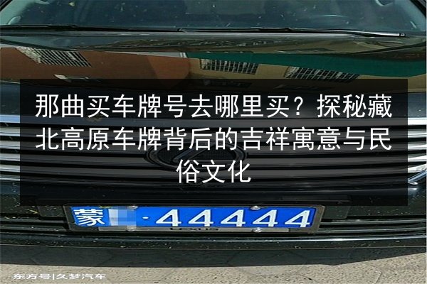 那曲买车牌号去哪里买？探秘藏北高原车牌背后的吉祥寓意与民俗文化 第3张