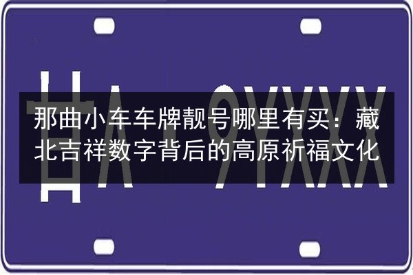 那曲小车车牌靓号哪里有买:藏北吉祥数字背后的高原祈福文化 第2张 那曲小车车牌靓号哪里有买:藏北吉祥数字背后的高原祈福文化 第2张