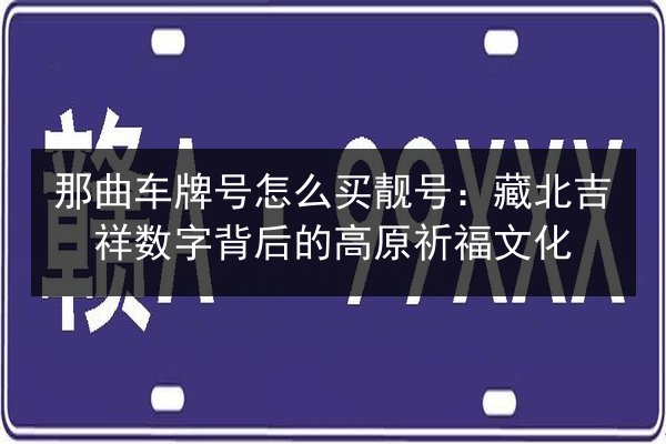 那曲车牌号怎么买靓号:藏北吉祥数字背后的高原祈福文化 第2张 那曲车牌号怎么买靓号:藏北吉祥数字背后的高原祈福文化 第2张