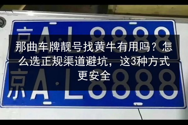 那曲车牌靓号找黄牛有用吗?怎么选正规渠道避坑,这3种方式更安全 第2张 那曲车牌靓号找黄牛有用吗?怎么选正规渠道避坑,这3种方式更安全 第2张