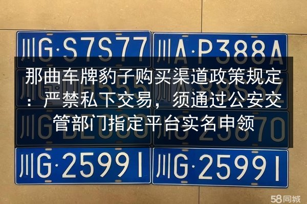 那曲车牌豹子购买渠道政策规定：严禁私下交易，须通过公安交管部门指定平台实名申领 第2张