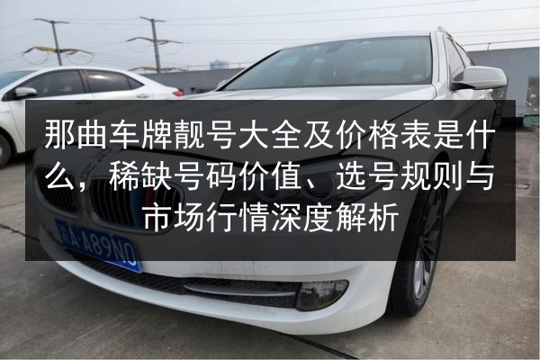 那曲车牌靓号大全及价格表是什么,稀缺号码价值、选号规则与市场行情深度解析 第3张 那曲车牌靓号大全及价格表是什么,稀缺号码价值、选号规则与市场行情深度解析 第3张