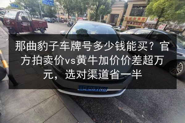 那曲豹子车牌号多少钱能买?官方拍卖价vs黄牛加价价差超万元,选对渠道省一半 第2张 那曲豹子车牌号多少钱能买?官方拍卖价vs黄牛加价价差超万元,选对渠道省一半 第2张