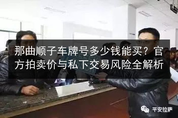 那曲顺子车牌号多少钱能买?官方拍卖价与私下交易风险全解析 第2张 那曲顺子车牌号多少钱能买?官方拍卖价与私下交易风险全解析 第2张