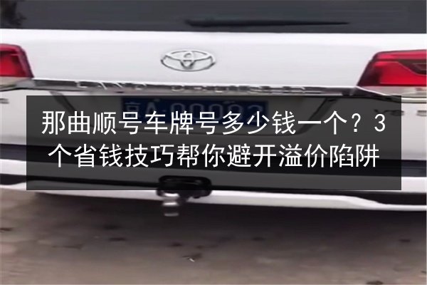 那曲顺号车牌号多少钱一个?3个省钱技巧帮你避开溢价陷阱 第2张 那曲顺号车牌号多少钱一个?3个省钱技巧帮你避开溢价陷阱 第2张