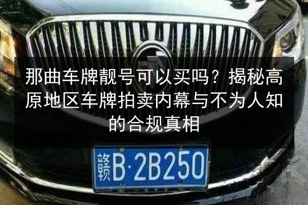那曲车牌靓号可以买吗?揭秘高原地区车牌拍卖内幕与不为人知的合规真相 第2张 那曲车牌靓号可以买吗?揭秘高原地区车牌拍卖内幕与不为人知的合规真相 第2张