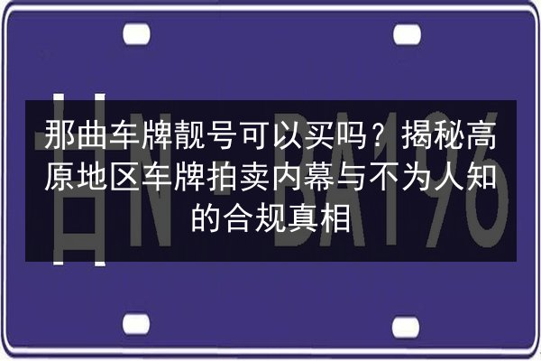 那曲车牌靓号可以买吗?揭秘高原地区车牌拍卖内幕与不为人知的合规真相 第3张 那曲车牌靓号可以买吗?揭秘高原地区车牌拍卖内幕与不为人知的合规真相 第3张
