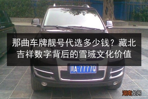 那曲车牌靓号代选多少钱？藏北吉祥数字背后的雪域文化价值 第2张