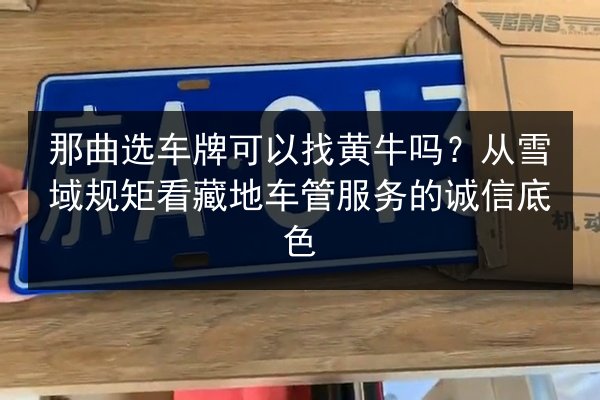 那曲选车牌可以找黄牛吗？从雪域规矩看藏地车管服务的诚信底色 第2张