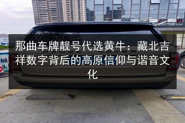 那曲车牌靓号代选黄牛：藏北吉祥数字背后的高原信仰与谐音文化 第2张