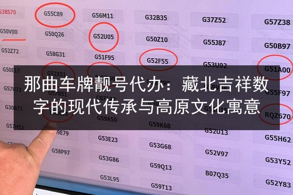 那曲车牌靓号代办:藏北吉祥数字的现代传承与高原文化寓意 第2张 那曲车牌靓号代办:藏北吉祥数字的现代传承与高原文化寓意 第2张