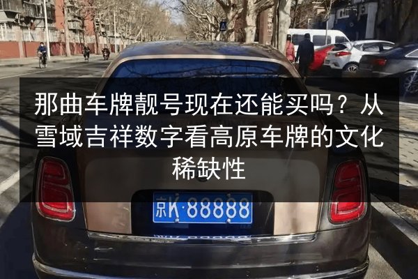那曲车牌靓号现在还能买吗?从雪域吉祥数字看高原车牌的文化稀缺性 第2张 那曲车牌靓号现在还能买吗?从雪域吉祥数字看高原车牌的文化稀缺性 第2张
