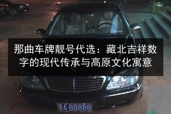 那曲车牌靓号代选：藏北吉祥数字的现代传承与高原文化寓意 第2张
