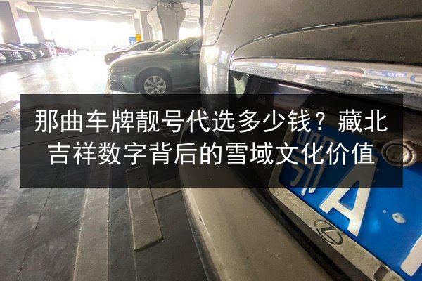 那曲车牌靓号代选多少钱？藏北吉祥数字背后的雪域文化价值 第3张
