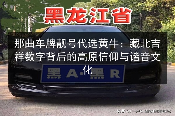 那曲车牌靓号代选黄牛：藏北吉祥数字背后的高原信仰与谐音文化 第3张