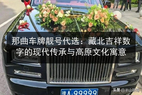 那曲车牌靓号代选：藏北吉祥数字的现代传承与高原文化寓意 第3张