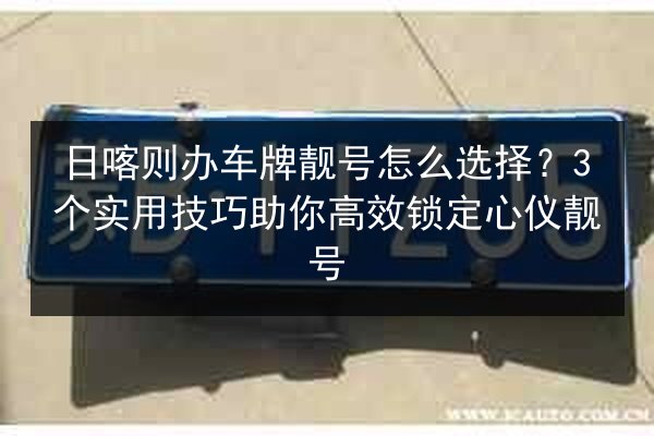 日喀则办车牌靓号怎么选择？3个实用技巧助你高效锁定心仪靓号 第2张