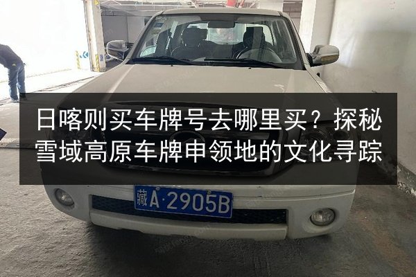 日喀则买车牌号去哪里买？探秘雪域高原车牌申领地的文化寻踪 第2张