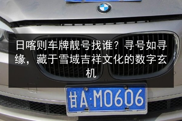 日喀则车牌靓号找谁?寻号如寻缘,藏于雪域吉祥文化的数字玄机 第3张 日喀则车牌靓号找谁?寻号如寻缘,藏于雪域吉祥文化的数字玄机 第3张