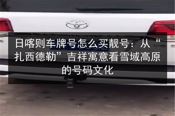 日喀则车牌号怎么买靓号:从“扎西德勒”吉祥寓意看雪域高原的号码文化 第3张 日喀则车牌号怎么买靓号:从“扎西德勒”吉祥寓意看雪域高原的号码文化 第3张