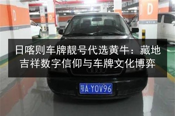 日喀则车牌靓号代选黄牛:藏地吉祥数字信仰与车牌文化博弈 第2张 日喀则车牌靓号代选黄牛:藏地吉祥数字信仰与车牌文化博弈 第2张