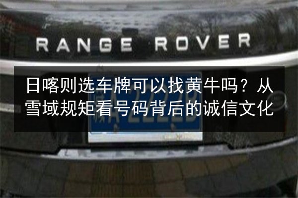 日喀则选车牌可以找黄牛吗?从雪域规矩看号码背后的诚信文化 第2张 日喀则选车牌可以找黄牛吗?从雪域规矩看号码背后的诚信文化 第2张