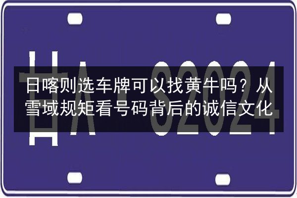 日喀则选车牌可以找黄牛吗?从雪域规矩看号码背后的诚信文化 第3张 日喀则选车牌可以找黄牛吗?从雪域规矩看号码背后的诚信文化 第3张