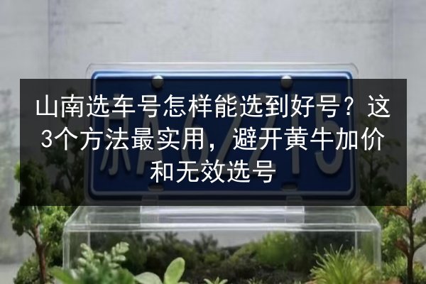山南选车号怎样能选到好号?这3个方法最实用,避开黄牛加价和无效选号 第2张 山南选车号怎样能选到好号?这3个方法最实用,避开黄牛加价和无效选号 第2张