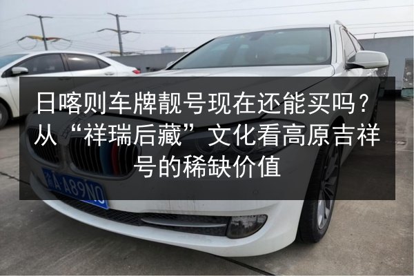 日喀则车牌靓号现在还能买吗?从“祥瑞后藏”文化看高原吉祥号的稀缺价值 第3张 日喀则车牌靓号现在还能买吗?从“祥瑞后藏”文化看高原吉祥号的稀缺价值 第3张