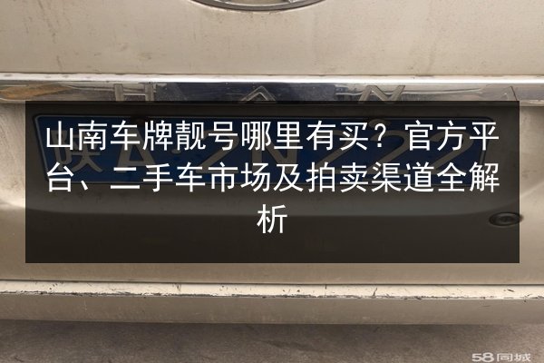 山南车牌靓号哪里有买？官方平台、二手车市场及拍卖渠道全解析
