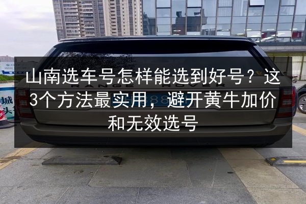 山南选车号怎样能选到好号?这3个方法最实用,避开黄牛加价和无效选号 第3张 山南选车号怎样能选到好号?这3个方法最实用,避开黄牛加价和无效选号 第3张