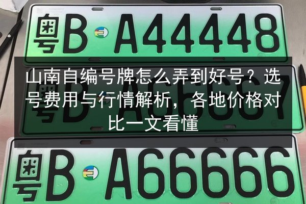山南自编号牌怎么弄到好号？选号费用与行情解析，各地价格对比一文看懂 第2张