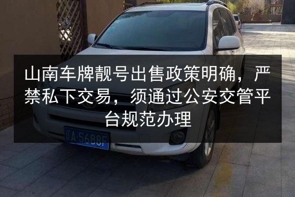 山南车牌靓号出售政策明确，严禁私下交易，须通过公安交管平台规范办理