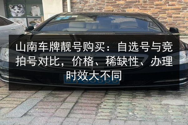 山南车牌靓号购买:自选号与竞拍号对比,价格、稀缺性、办理时效大不同 第2张 山南车牌靓号购买:自选号与竞拍号对比,价格、稀缺性、办理时效大不同 第2张