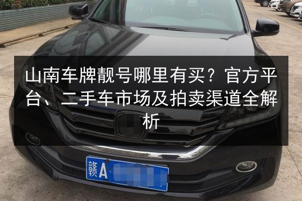 山南车牌靓号哪里有买？官方平台、二手车市场及拍卖渠道全解析 第2张