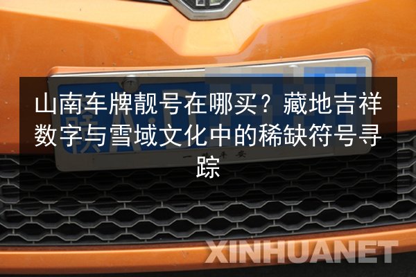 山南车牌靓号在哪买？藏地吉祥数字与雪域文化中的稀缺符号寻踪 第2张
