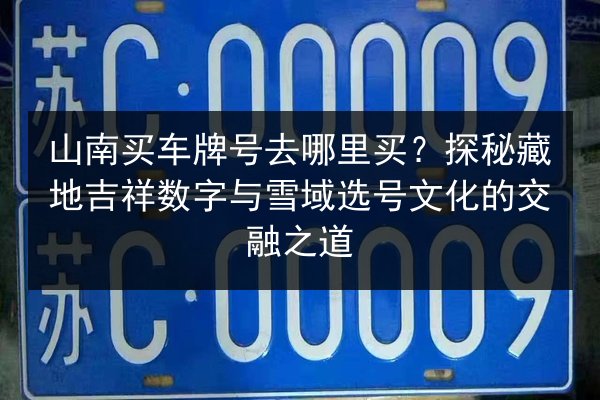 山南买车牌号去哪里买?探秘藏地吉祥数字与雪域选号文化的交融之道 第1张 山南买车牌号去哪里买?探秘藏地吉祥数字与雪域选号文化的交融之道 第1张