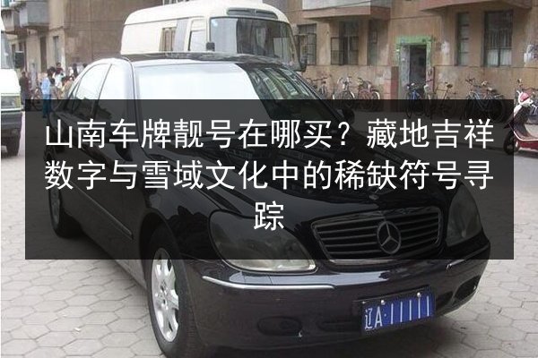 山南车牌靓号在哪买？藏地吉祥数字与雪域文化中的稀缺符号寻踪 第3张