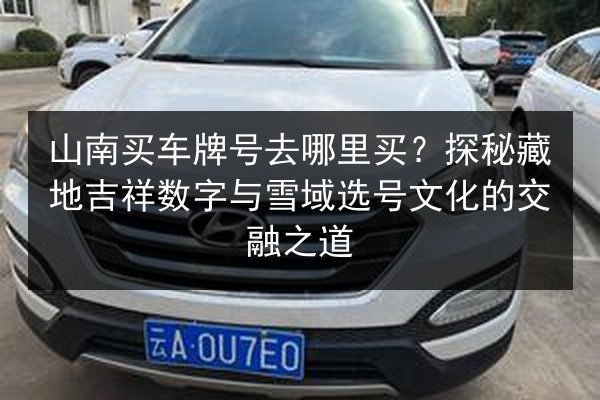 山南买车牌号去哪里买?探秘藏地吉祥数字与雪域选号文化的交融之道 第2张 山南买车牌号去哪里买?探秘藏地吉祥数字与雪域选号文化的交融之道 第2张