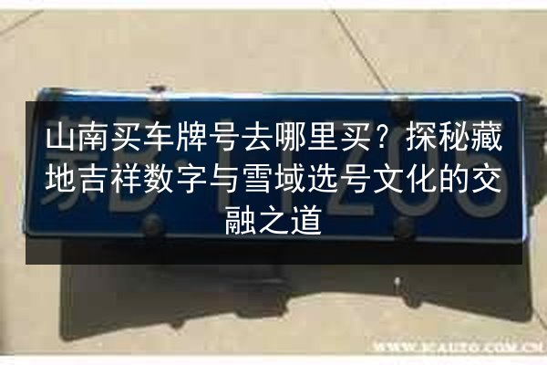 山南买车牌号去哪里买?探秘藏地吉祥数字与雪域选号文化的交融之道 第3张 山南买车牌号去哪里买?探秘藏地吉祥数字与雪域选号文化的交融之道 第3张