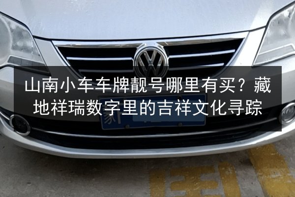 山南小车车牌靓号哪里有买?藏地祥瑞数字里的吉祥文化寻踪 第3张 山南小车车牌靓号哪里有买?藏地祥瑞数字里的吉祥文化寻踪 第3张