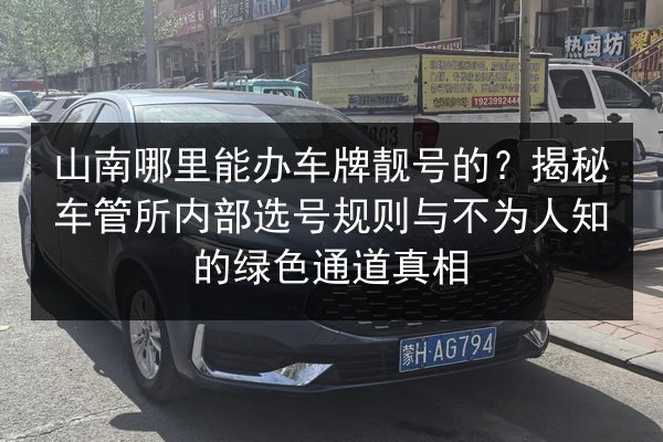 山南哪里能办车牌靓号的？揭秘车管所内部选号规则与不为人知的绿色通道真相 第3张