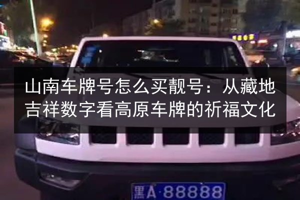 山南车牌号怎么买靓号：从藏地吉祥数字看高原车牌的祈福文化 第2张