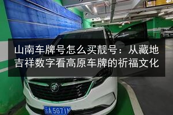 山南车牌号怎么买靓号：从藏地吉祥数字看高原车牌的祈福文化 第3张