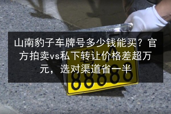 山南豹子车牌号多少钱能买?官方拍卖vs私下转让价格差超万元,选对渠道省一半 第2张 山南豹子车牌号多少钱能买?官方拍卖vs私下转让价格差超万元,选对渠道省一半 第2张