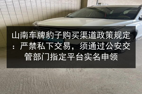 山南车牌豹子购买渠道政策规定：严禁私下交易，须通过公安交管部门指定平台实名申领 第2张