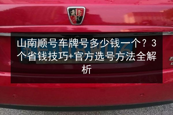山南顺号车牌号多少钱一个?3个省钱技巧+官方选号方法全解析 第2张 山南顺号车牌号多少钱一个?3个省钱技巧+官方选号方法全解析 第2张