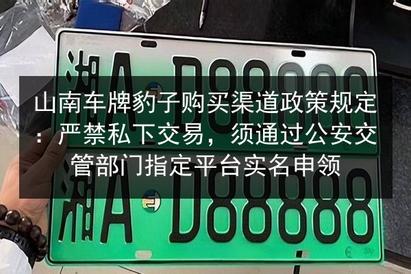 山南车牌豹子购买渠道政策规定：严禁私下交易，须通过公安交管部门指定平台实名申领 第3张