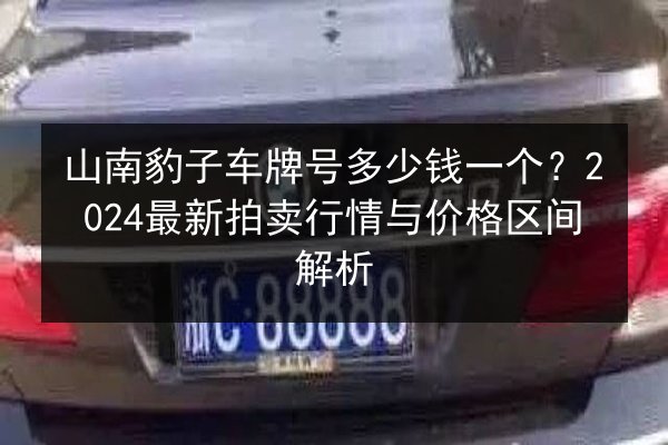 山南豹子车牌号多少钱一个?2024最新拍卖行情与价格区间解析 第3张 山南豹子车牌号多少钱一个?2024最新拍卖行情与价格区间解析 第3张